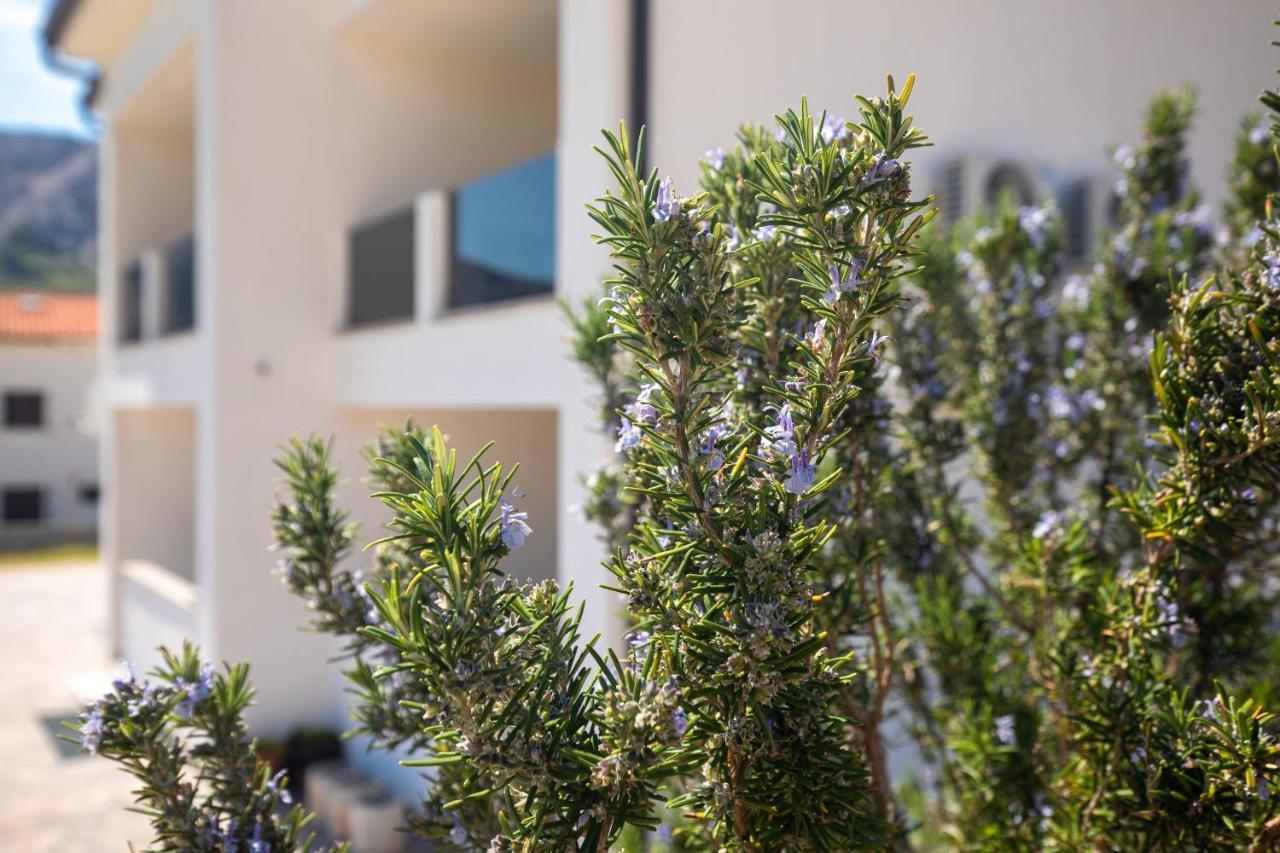 Apartments Augustinovic バスカ エクステリア 写真